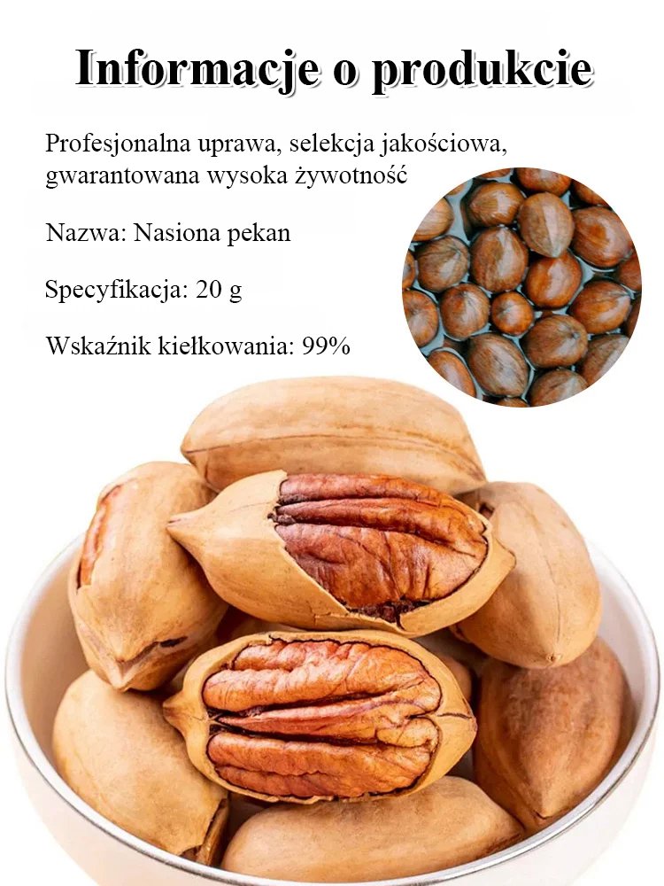 Import nasion pekan.