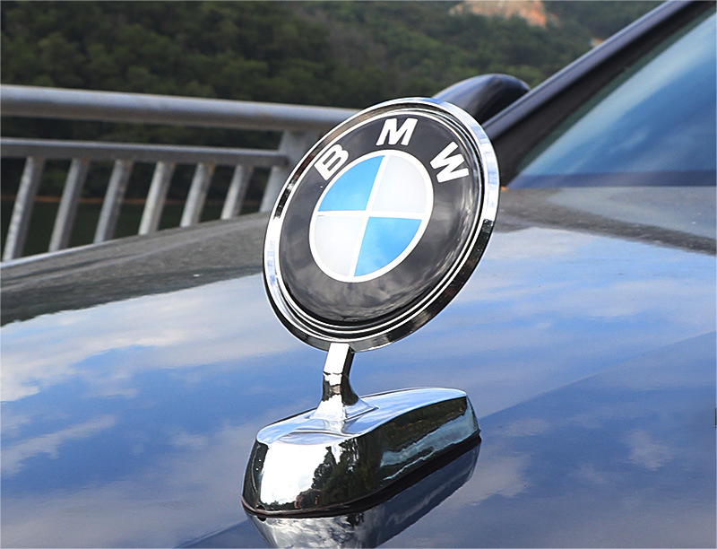 Logo na maskę samochodu z ozdobą