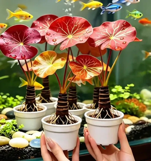 🐟Hydroponiczne korzenie czerwonego lotosu🌿 Zmień swoje akwarium w żywy ogród