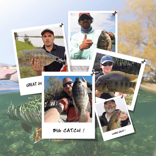 🌊Zdominuj wodę: Ozark Trail 5-calowy wieloczęściowy swimbait na białego bassa🐟