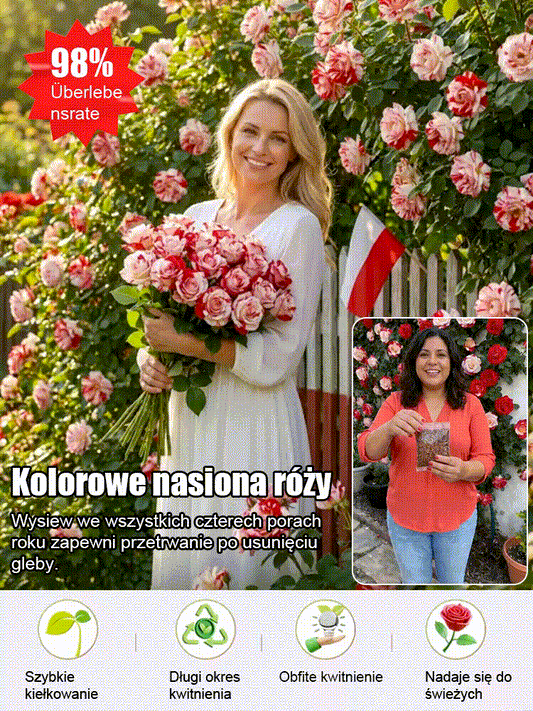 Kolorowe nasiona róży