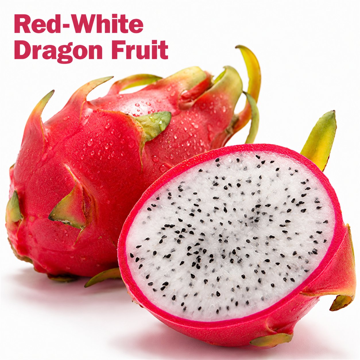 Dragon fruit seedlings – Grow exotic, sweet and delicious dragon fruit at home 🌵