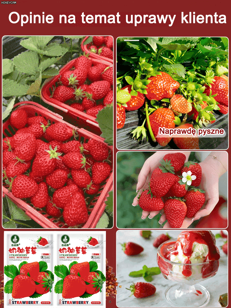 Olbrzymie, super słodkie, soczyste pestki truskawek w kremie