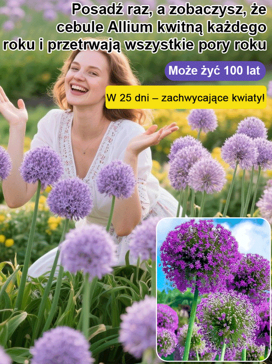 【Jednorazowe sadzenie, kwitnienie co roku】Cebule czosnek olbrzymi łatwe do uprawy przez cały rok.