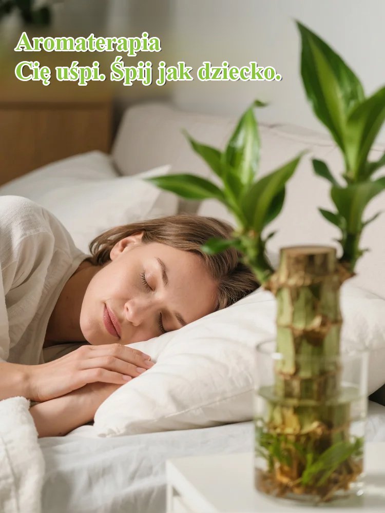 【Gdy napotka wodę, ożywa】Czteropory roku kwitnąca hydroponiczna brazylijska szczęśliwa roślina