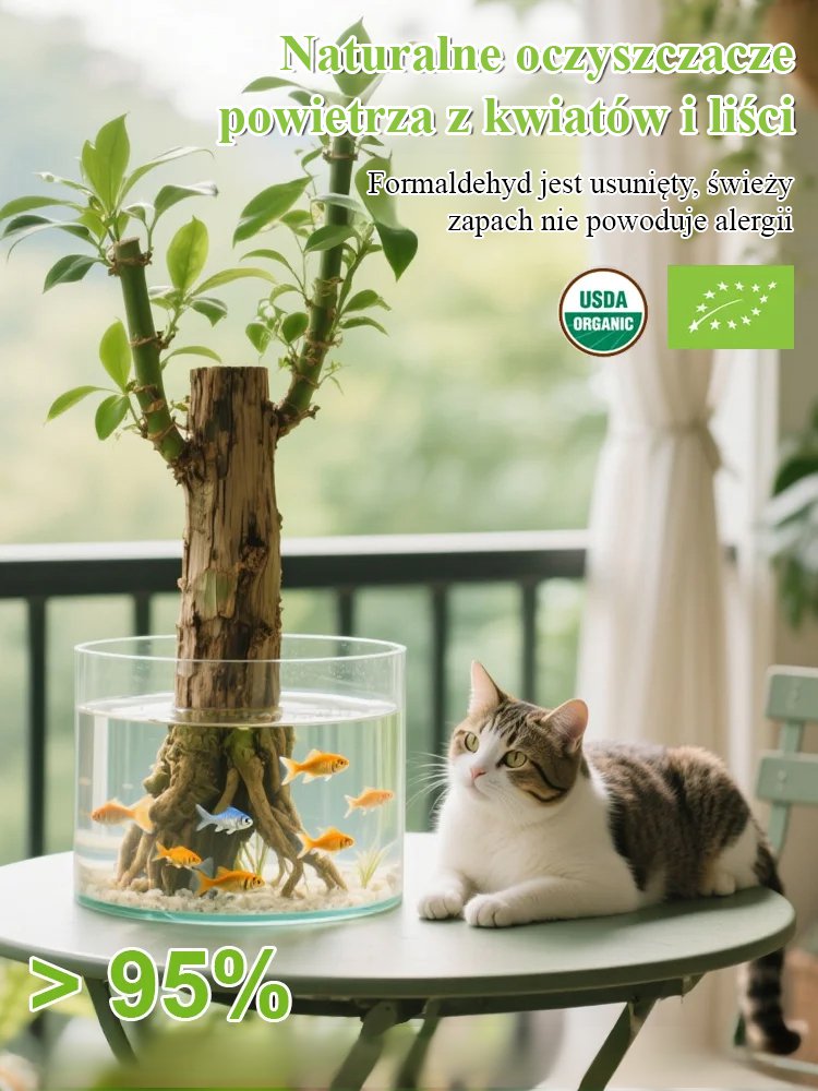 【Gdy napotka wodę, ożywa】Czteropory roku kwitnąca hydroponiczna brazylijska szczęśliwa roślina