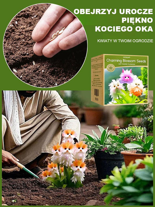 Nasiona orchidee kotego oka