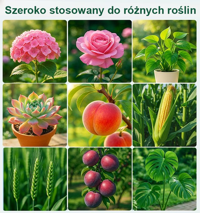 Skuteczna ochrona roślin i drzew owocowych — jedno opakowanie wystarcza na aż 1000 litrów wody