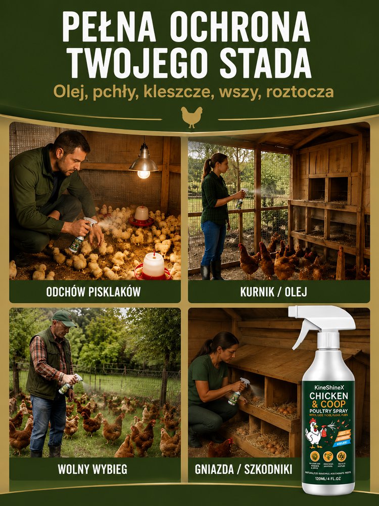 Specjalny spray dezynfekujący i odkażający do kurników