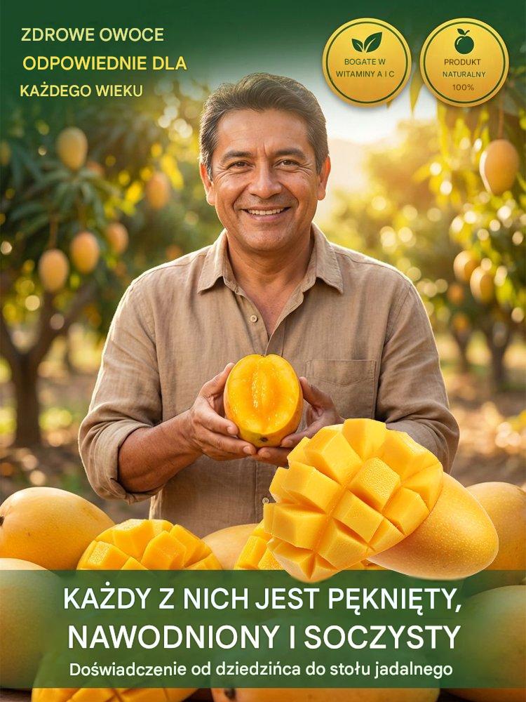 [1-2 lata wyników] Karłowe szczepione sadzonki mango bez GMO