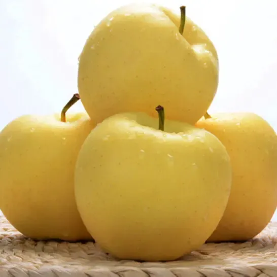 Nasiona Złotego Jabłka, wskaźnik przeżywalności 90%