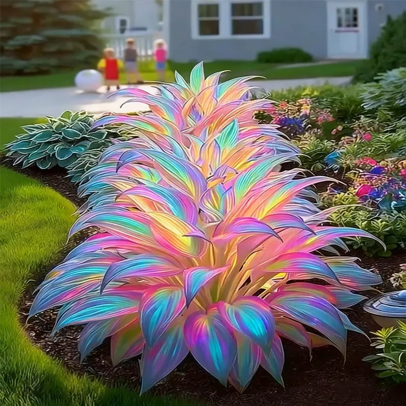 Nasiona roślin Rainbow Haze
