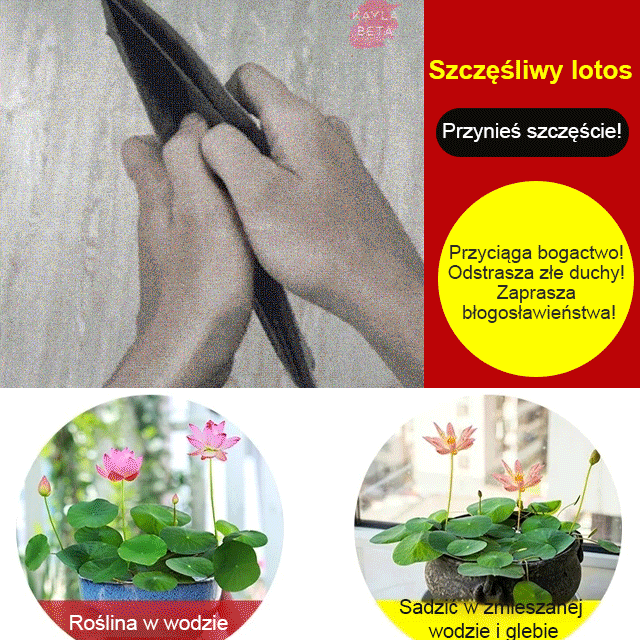 LOTUS™ – Nasiona ozdobnego lotosu wodnego