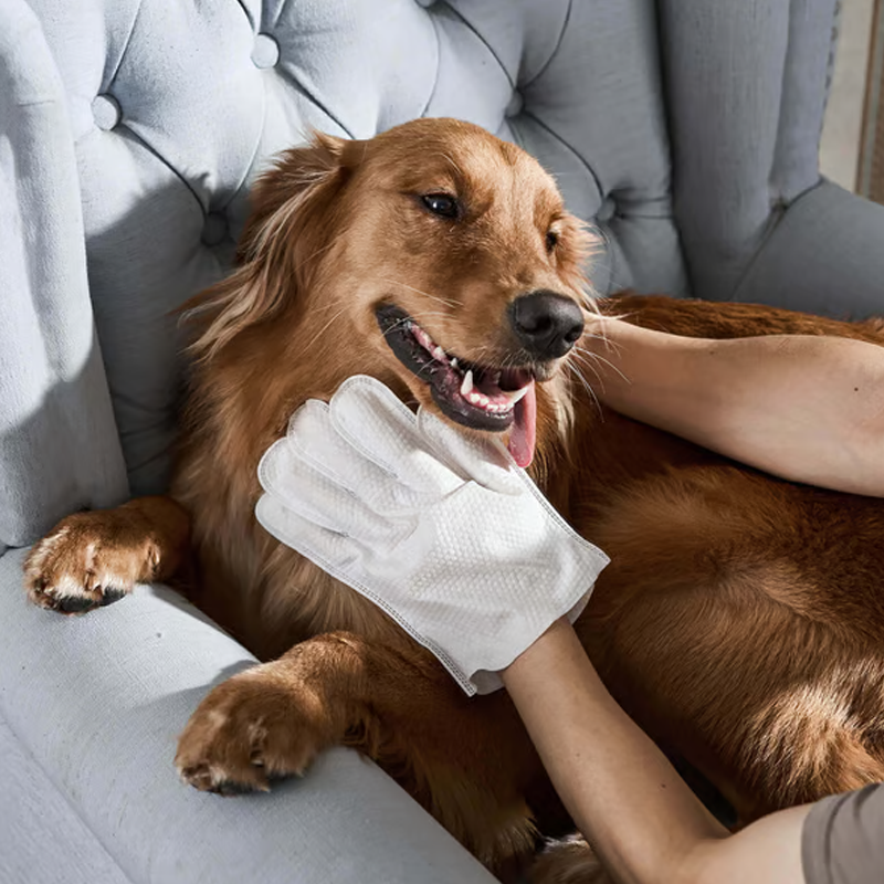 🐶 Rękawice dezodorujące do czyszczenia i dezynfekcji zwierząt bez spłukiwania