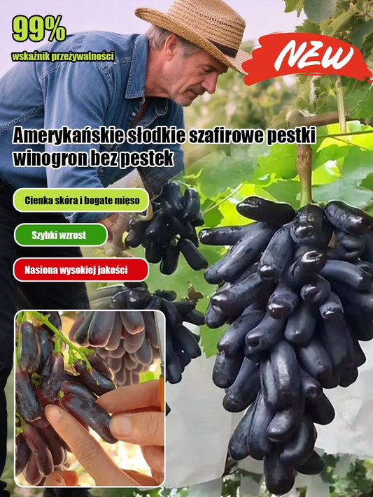 Nasiona winorośli Sweet Sapphire